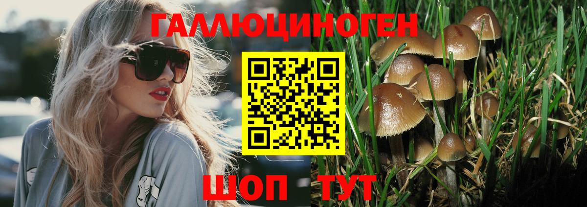 Черкесск  дарнет шоп  Вход с VPN  Галлюциногенные грибы мицелий 